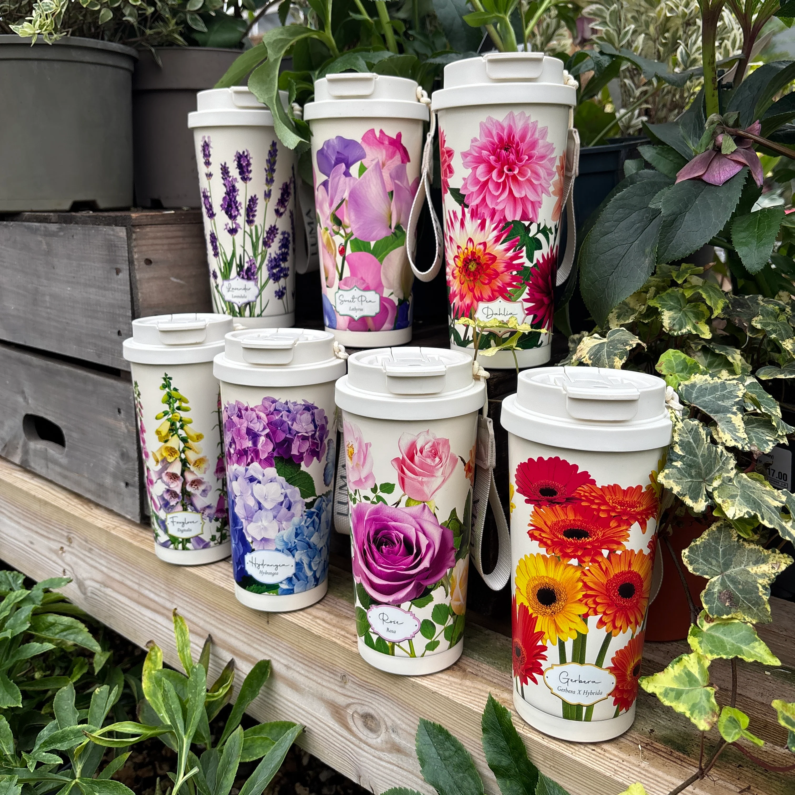 Product image 61